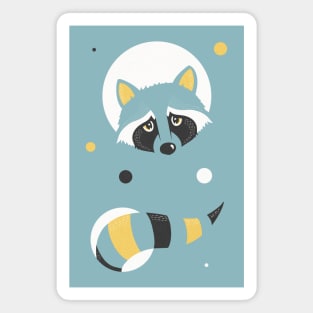 Mr Racoon Magnet